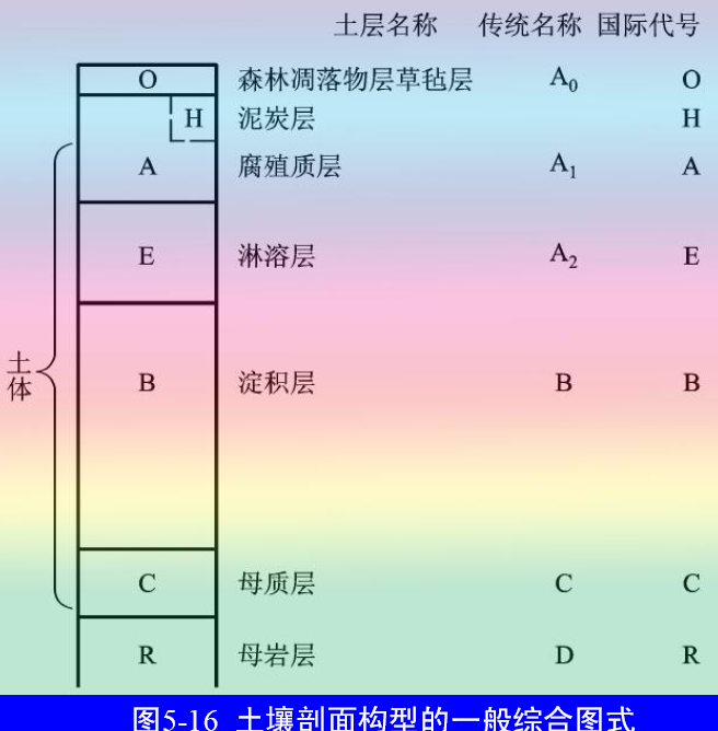 土壤剖面分层解析图图片