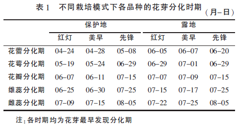 樱桃花芽分化5.png