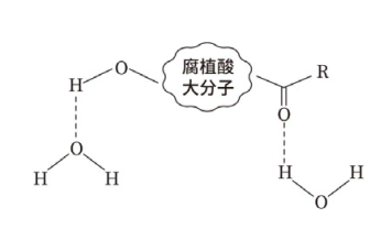 腐殖酸分子.png