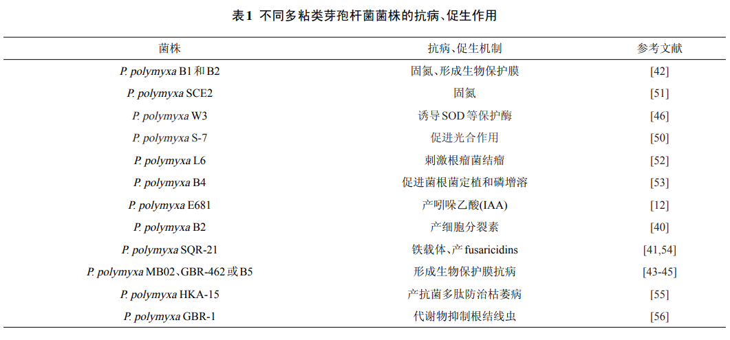 不同多粘类芽孢杆菌菌株的抗病、促生作用.png