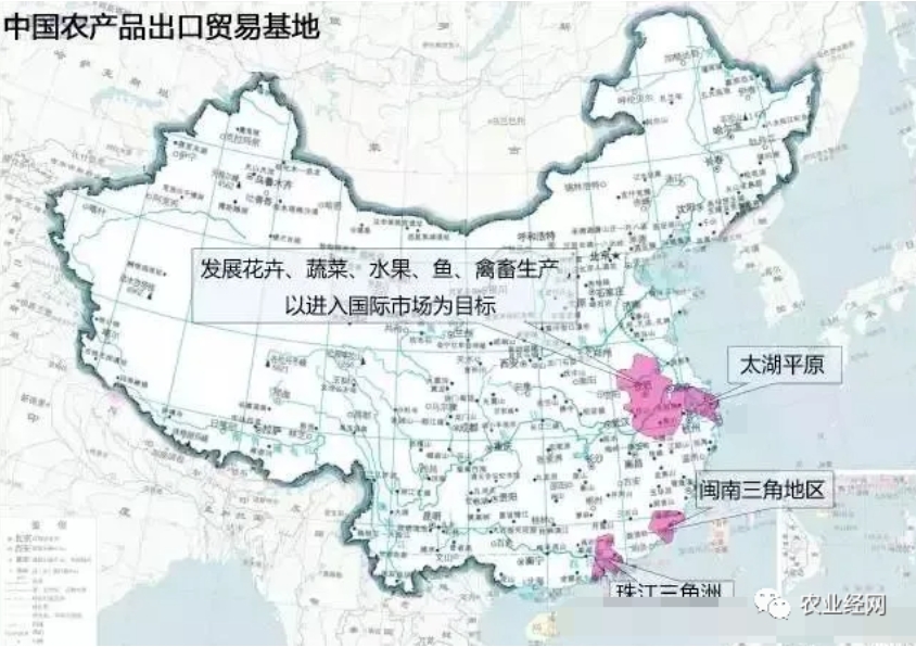 中国农产品出口贸易基地.png