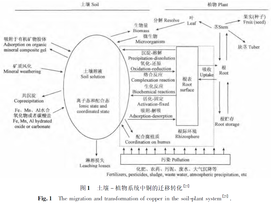 5铜的迁移转化.png