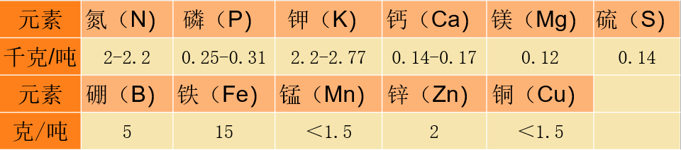 果实的营养成份及含量.png