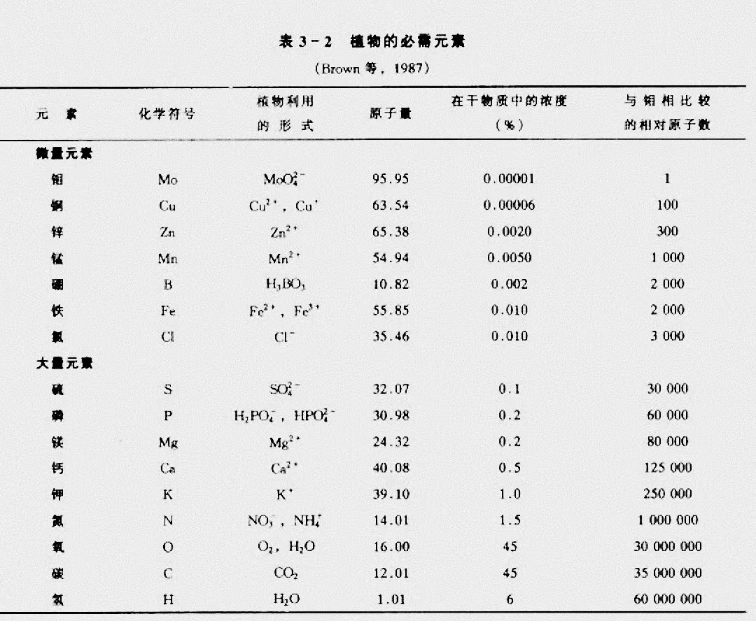 植物必需营养元素含量.jpg