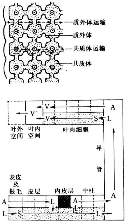 运输途径.jpg